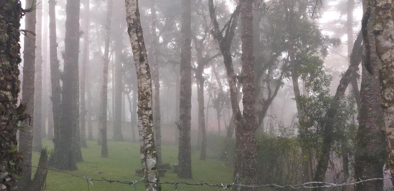 Bosque Das Araucarias Campos do Jordão Exterior foto